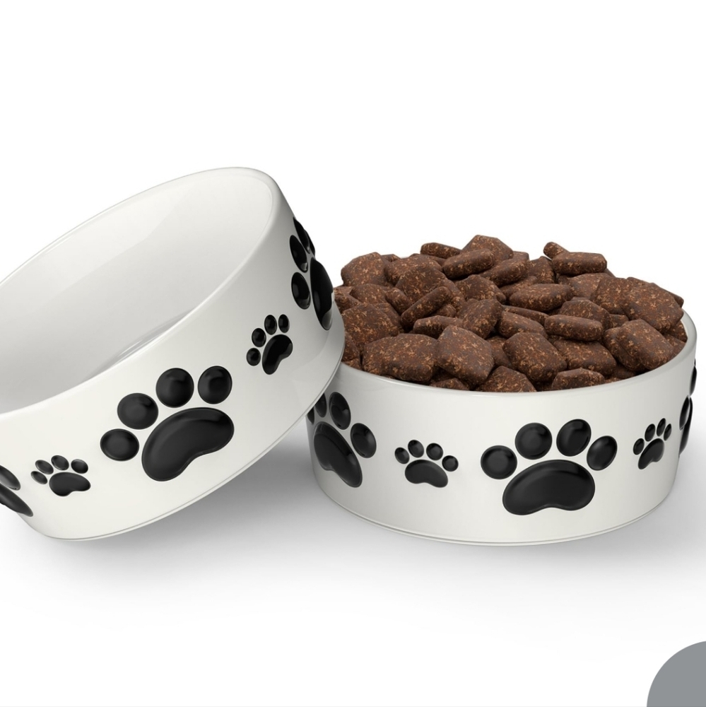 Lilo Design New 2 Ceramic Dog/Cat Bowls 5" Round X 2" Tall W/ Anti Slip Rings